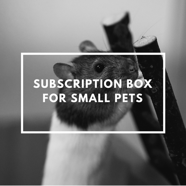 Small Pet Subscription Box