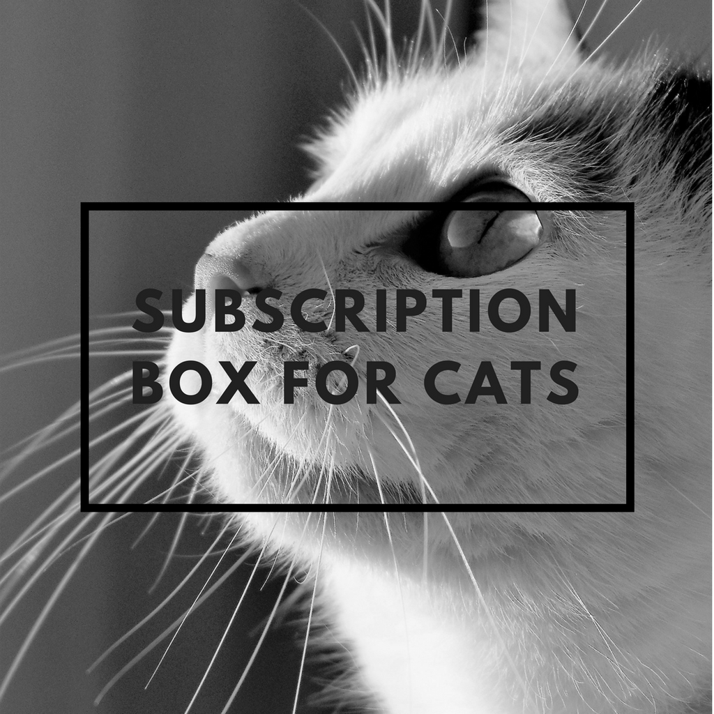Cat Subscription Box